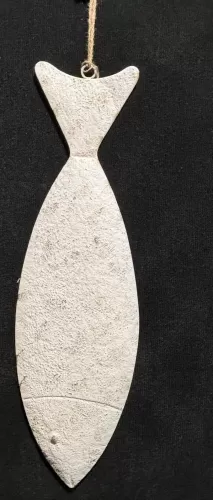White Flat Metal Fish on Rope