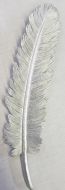 Resin Silver Feather Wall Plaque 9