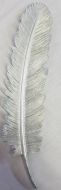 Resin Silver Feather Wall Plaque 12