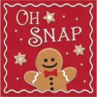 Enamel Wall Sign - Oh Snap 30cm x 30cm