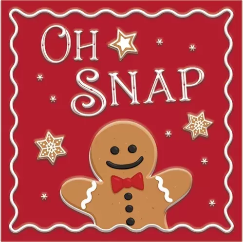 Enamel Wall Sign - Oh Snap 30cm x 30cm