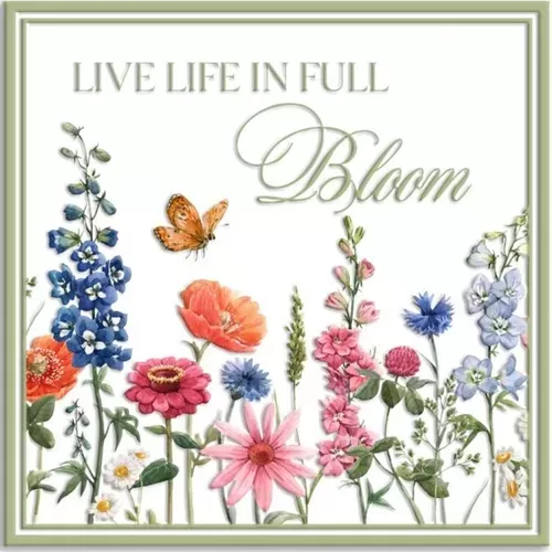 Enamel Wall Sign - Live life in full bloom 36cm x 36cm