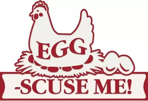 Enamel Wall Sign - Egg-scue 30cm x 20cm